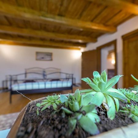 Historicky Dom Kezmarok Villa Екстериор снимка